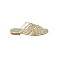 FLAT SPIDER PLATINO