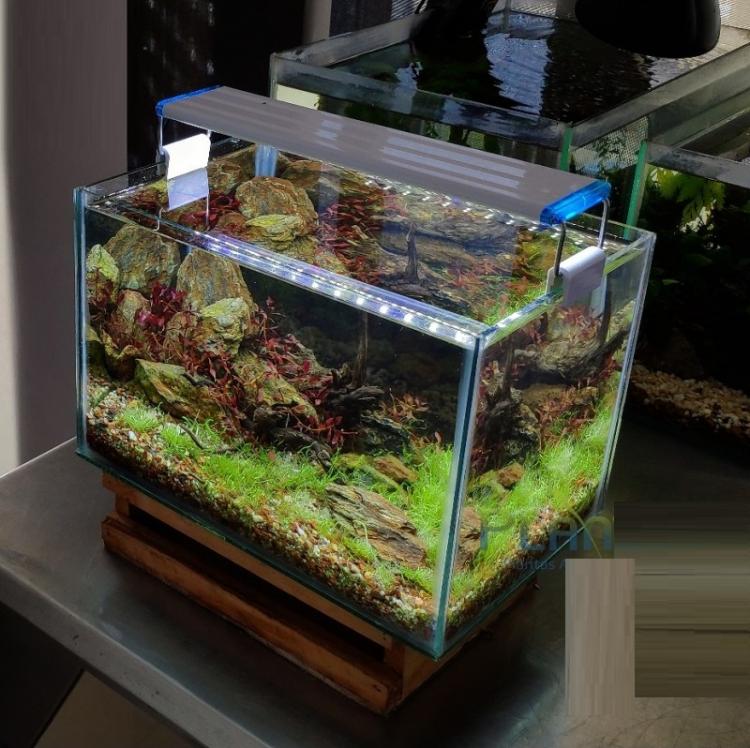 Plafoniera Led Luce Bianca Blu Lampada Per Acquario Barra Da 30 A 40Cm Slim -D73