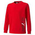 Puma felpa girocollo da ragazzo Active Sport Crew TR B 589201 11 rosso