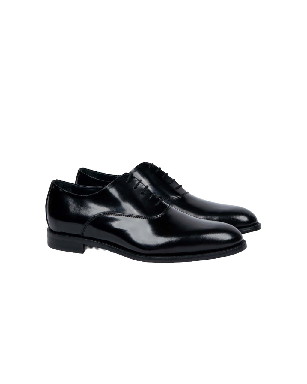 OXFORD NERI