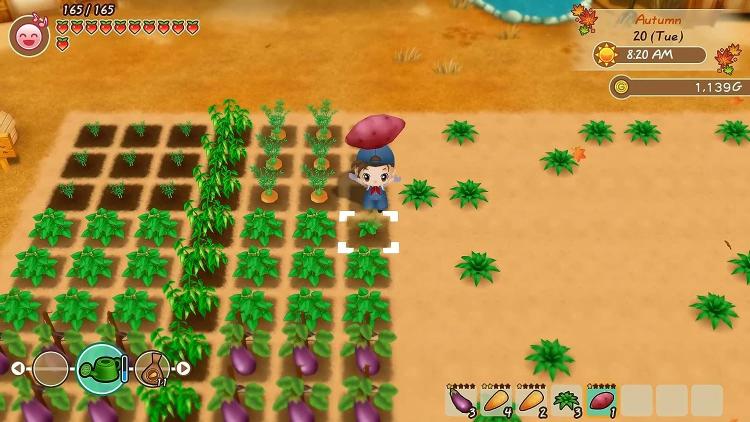 Story Of Seasons - Friends Of Mineral Town Ps4 Gioco Eu Playstation 4 Nuovo