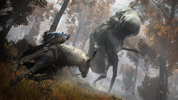 Elden Ring G.O.T.Y. Edition Ps4 Videogioco Italiano Playstation 4 Gioco Pal Ita