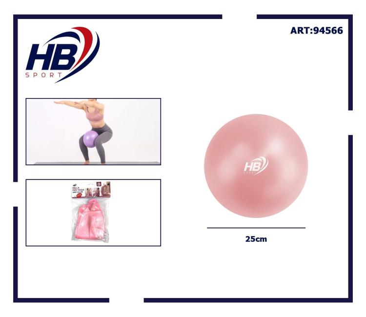 Fitball Mini Palla 25Cm Yoga Palestra Fitness Pilates Aerobica Addominali - Rosa