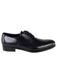 DERBY BLU