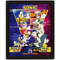 Pyramid - Sonic Hedgehog (Select Your Fighter) Poster 3D Lenticular Incorniciato