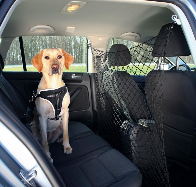 Divisorio In Rete Per Trasporto Bagagliaio Auto Merce Animali Cani Gatti 100X100