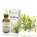 Olio Essenziale Di Tea Tree Corpo Antisettico E Antifungineo Purificante Profumo