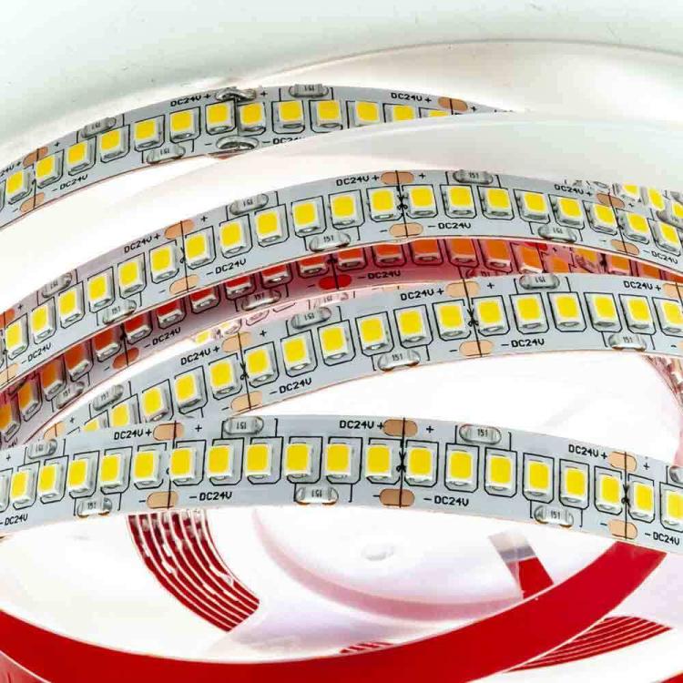Strip 5M Striscia 600 Led 2835 61W 24V Bobina 5 Mt Biadesiva | Luce Calda 3000K