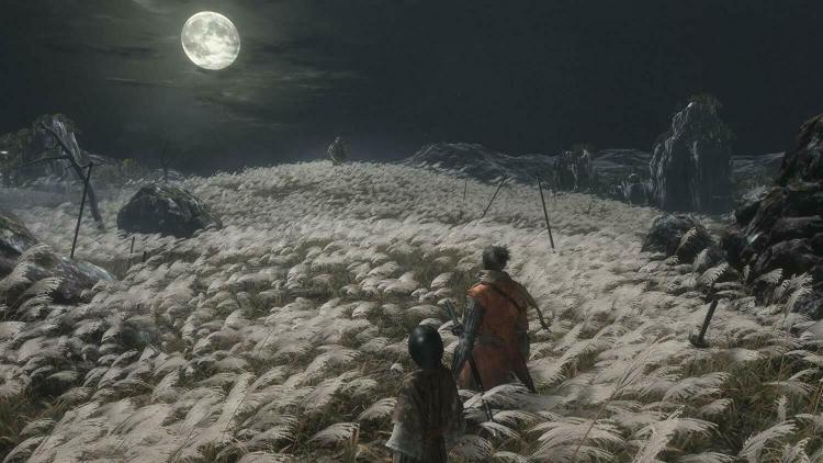 Sekiro - Shadow Die Twice G.O.T.Y. Edition Xbox One /Serie X Gioco Pal Italiano