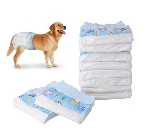 Pannolini Per Cane Polimeri Assorbenti Igienici Mutandina Ciclo Cani Gatti Tg-M