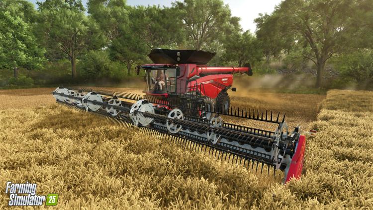 Farming Simulator 25 (Pc) Videogioco (Disco Dvd + Digital Download) Pal Italiano
