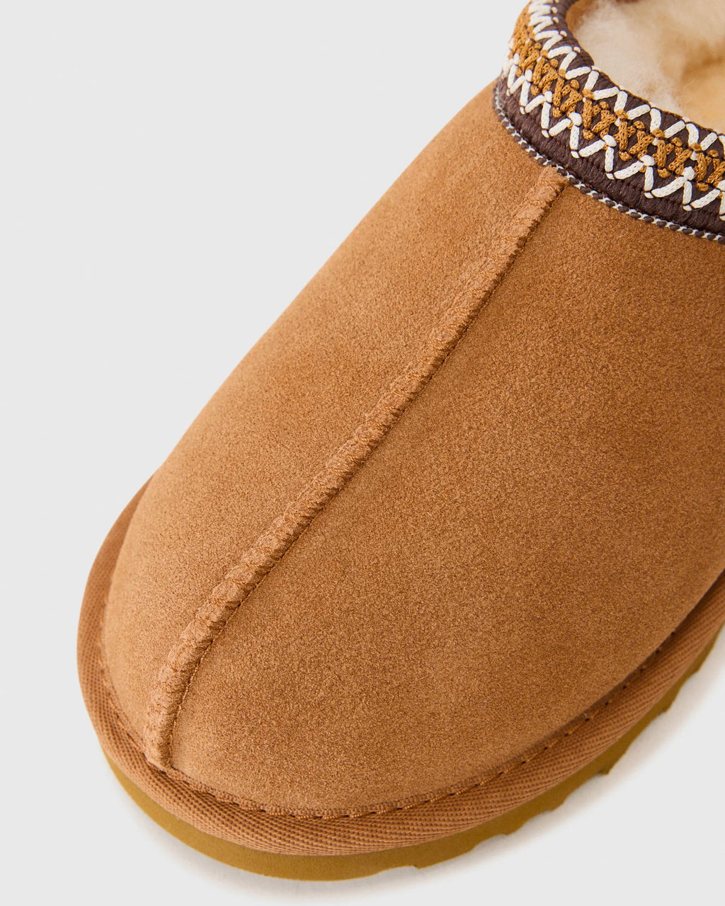 Ciabatta M Tasman II Chestnut